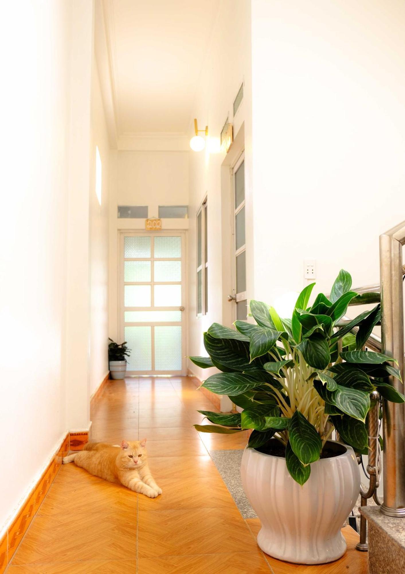 Lazy Cat Homestay - Motorbikes Rental & Tours ห่าซาง ภายนอก รูปภาพ