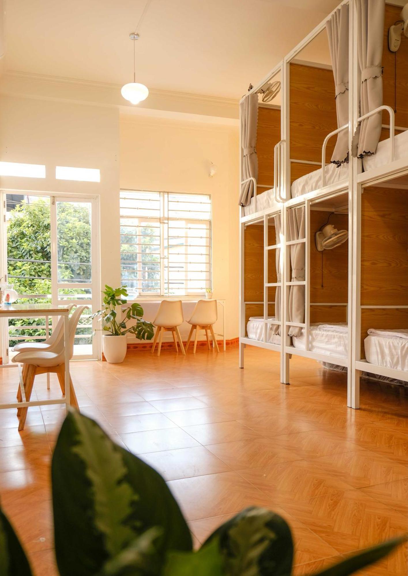 Lazy Cat Homestay - Motorbikes Rental & Tours ห่าซาง ภายนอก รูปภาพ